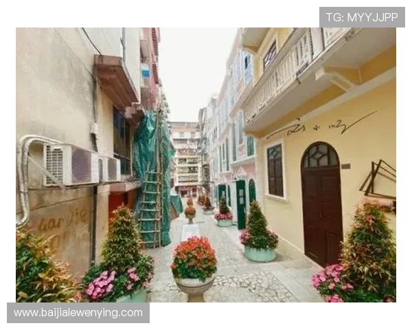 深入解析百家乐技巧与概率,揭秘常用技巧背后的数学原理与实战应用 深入解析百家乐技巧与概率,揭秘常用技巧背后的数学原理与实战应用