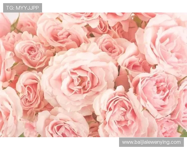 每日365真人久久都在更新，带来不同的精彩内容等待你探索