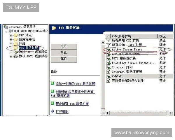 解决AG视讯登录入口无法访问问题的实用技巧与常见故障排查方法